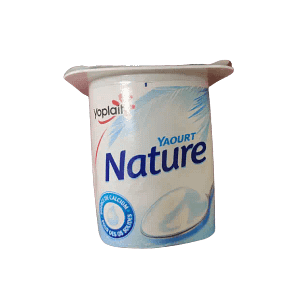 Yoplait Yogurt Nature 110g